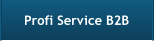 Profi Service B2B