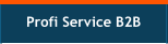 Profi Service B2B